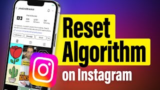 How to Reset Instagram Algorithm