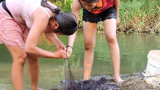 Last Fishing Video for Awhile | Catches Crocodile | Beautiful Girl Fishing Amazing Fishing#10
