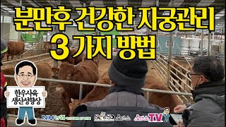 [소앤소TV-김재경원장, 상담 1661-6895] 분만후 건강한 자궁관리를 위한 3가지 방법