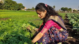 Methi विशेष Satvik Recipes | मेथीचे पिठले,डाळ , पराठा ,मुटके आणि ज्वारीच्या भाकरी | पारंपरिक recipes