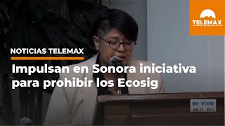 Impulsan en Sonora iniciativa para prohibir los Ecosig | #NoticiasTelemax