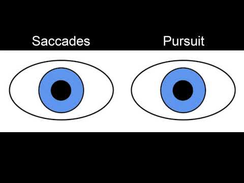 What controls saccadic eye movements?
