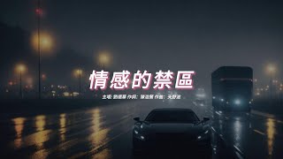 情感的禁區  (劉德華版本)(粵語)(歌手演唱版)