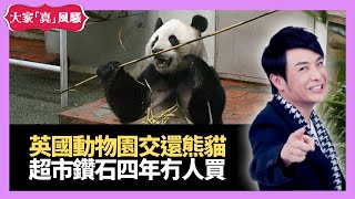 英國動物園交還熊貓 澳洲超市鑽石擺足四年冇人買－大家真瘋Show 20210106 梁思浩 苑瓊丹 李日朗