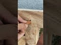 diy woodworking woodworking art woodworking wooden joints