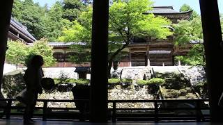 2017.9.9 福井 永平寺 【厳しい修行の寺】 Eiheiji Temple (Japan)