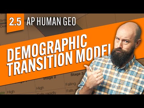 What are the 4 stages of the demographic transition?