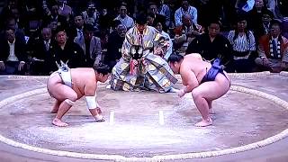 Homarefuji vs Yutakayama Sumo[Kyushu Basho 2017 Day 4, November 15th] 20171115