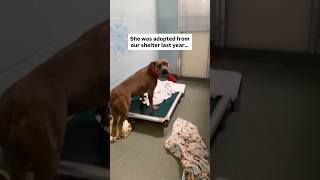 She is breaking our hearts 💔 Learn more about Maddie in the comments 🙏