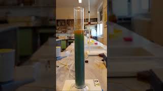 Tomato juice rainbow experiment (tomato juice and bromine water)