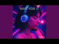 Wait For It (Echo Pulse)