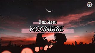 Moonrise ( LYRICS ) Atif Aslam // Amy Jackson || Raj Ranjodh || Tarish Music