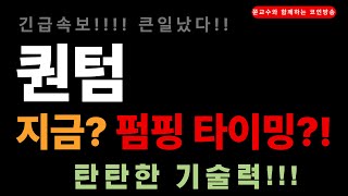 [퀀텀코인 전망] 긴급속보!! 큰일났다!! 지금? 펌핑타이밍?!