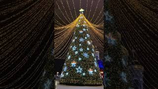 Лучшая Новогодняя Елка | Best Christmas Tree  #shorts