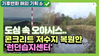 [TJB 기후변화 특별기획] 6. 도심 속 오아시스.. 콘크리트 저수지 복원한 '런던습지센터'｜ TJB 대전·충남·세종뉴스