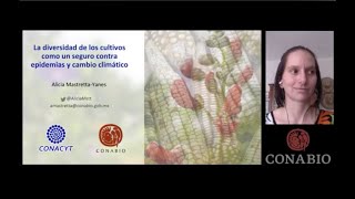 La diversidad de los cultivos como un seguro contra epidemias y cambio climático, Alicia Mastretta,