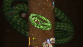 Little Big Snake Gameplay | GRASS MONSTER