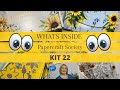 Whats Inside Kit 22?