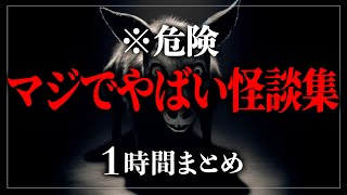 【怖い話】「見るんじゃなかった」まじでヤバい怪談まとめ60分 怪談朗読詰め合わせ1時間 寝ながら聴ける【ホラー】【睡眠導入】