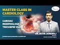 Cardiac Morphology Tricuspid Valve - Master Class in Cardiology