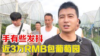 小伙花近三万元预包葡萄园，兄弟们说相信能卖完，定金交出手发抖【小马行九州】