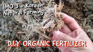 Save Money By Making Your Own Effective Organic Fertilizer | How To Make IMO 3 | Organic Farm Method