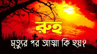 রুহ, মৃত্যুর পরে আত্মার কী হয়?, বুখারী ও মুসনাদের দুইটি হাদিস অবলম্বনে। Baraqah ।। বারাকাহ