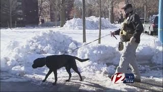 Harvard bomb hoax