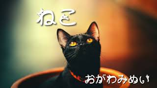 【朗読】「ねこ」小川未明