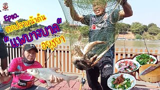 Ep.80🎣ตกปลาหน้าดิน แพบางบาล อยุธยา ราคาโดนใจ.#ตกปลาอยุธยา.#ตกปลาแม่น้ำเจ้าพระยา.