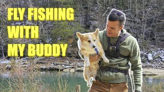 This LOCAL CREEK is INSANELY BEAUTIFUL... and it has TROUT! | Fly Fishing Quick Trip with my Corgi