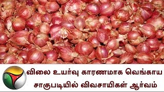 விலை உயர்வு காரணமாக வெங்காய சாகுபடியில் விவசாயிகள் ஆர்வம்