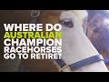 WHERE AUSTRALIAN HORSES RETIRE | APACHE CAT & MIGHT AND POWER