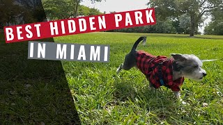 Best hidden park in Florida | Bring your dog!