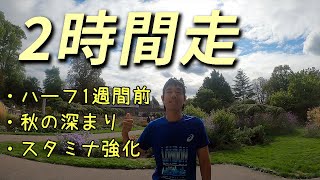 ハーフマラソンの本番1週間前に2時間走り切りました。