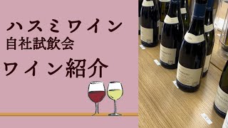 【蓮見ワイン】2023年9月試飲会・ワイン紹介【フランス・オーストリア・デンマークワイン】