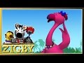 Zigby - Episode 7 - Zigbys Team