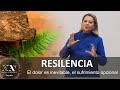 Resiliencia, el dolor es inevitable, el sufrimiento opcional.   Nueva Acropolis