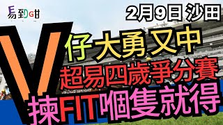 【#賽馬 易到咁】(2月9日) 四歲爭分賽，揀fit嗰隻就得｜賽馬貼士｜過關｜沙田｜軒SIR｜丹尼老師｜V仔｜糖叔