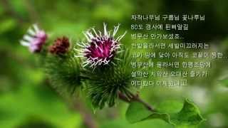 횡성 병무산20140705