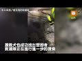 充滿希望的汪汪聲！捷克搜救犬穿梭瓦礫堆 成功找出受困者︱土耳其地震