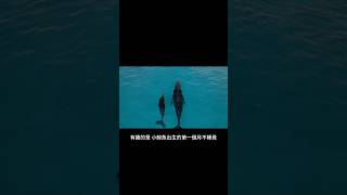 竟然有生物可以不睡覺？半腦睡眠超乎想像！#shorts  #科普 #funfacts #whales