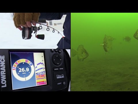 Ice Fishing for Big Bluegills Ice Fishing for Big Bluegills