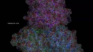 1FDL complex | molecular visualization