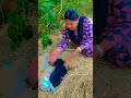 hi kemon acho tumi ki bhalo acho ytshortsvideo shorts viralvideo