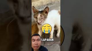 Mengapa orang ini menyentuh kepala paus?