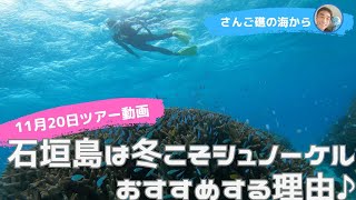 石垣島は冬こそシュノーケリング、おすすめの理由♪11月20日ツアー動画