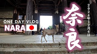 【VLOG】東大寺に行って鹿さんとも遊んできました（NARA.JAPAN）