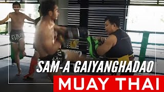 30 Roundhouse Kicks In 15 Seconds By Muay Thai Legend Sam-A Gaiyanghadao!