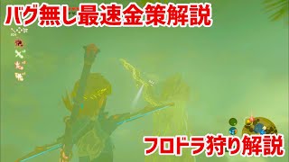 バグ無し金策フロドラ狩り解説【ブレワイ】【裏技】